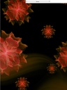 Bazin Print 6060