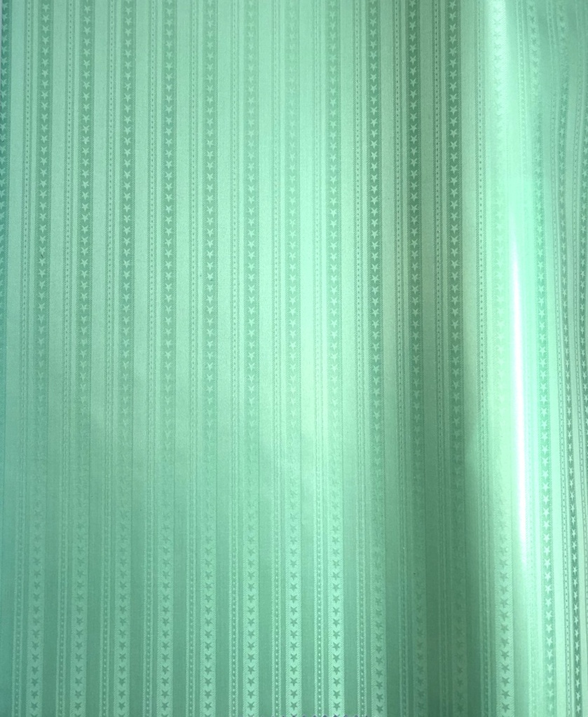 Bazin uni Color 618-mint | D - 3 m