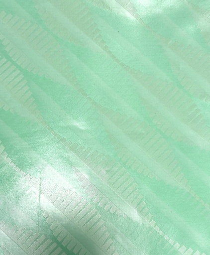 [2014-E605-21061-3] Drews Or 2577-menthe- 3 m